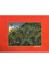 bridge bharat vibrant Art Work Rug - HeadShot bridge bharat vibrant Art Work Rug - HeadShot